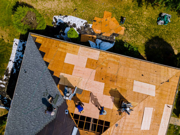 Best Roof Restoration Services  in Booker, TX