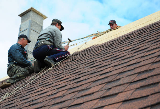 Best Tile Roofing Contractor  in Booker, TX